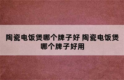 陶瓷电饭煲哪个牌子好 陶瓷电饭煲哪个牌子好用